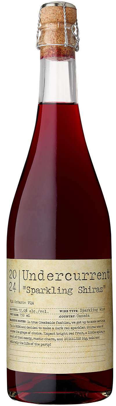 NEW RELEASE - 2024 Undercurrent Sparkling Shiraz