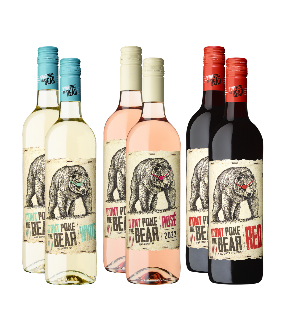 Back to School with Bear 6-Bottle Bundle